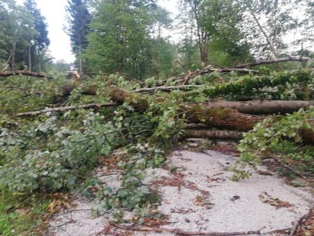 Vremenske razmere v občini Kamnik do 11. ure  (4)